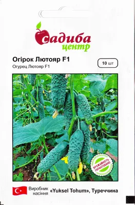 Семена Огурец Лютояр F1: описание сорта, фото - купить с доставкой или  почтой России