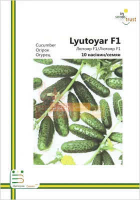 Семена САДОВИТА Огурец Лютояр F1 5 семечек 00183587 - выгодная цена,  отзывы, характеристики, фото - купить в Москве и РФ