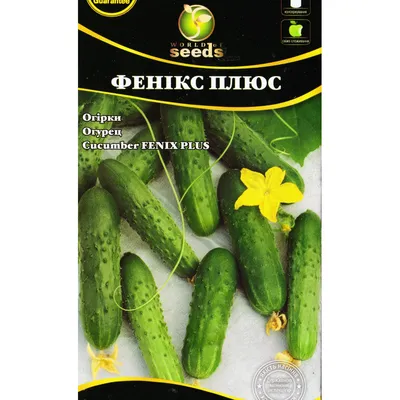 Огурец Феникс плюс 10 г Gl Seeds - купить по лучшей цене в Днепропетровской  области от компании \"Agroretail.com.ua\" - 1076377608