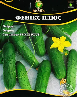 ꕤ Огурец Феникс 0.5 г WOS • купить Огурец Феникс 0.5 г WOS по цене от 5.99  грн. в Украине