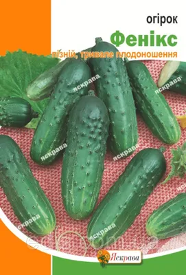 Огурец Феникс-640 1 г Gl Seeds - купить по лучшей цене в Днепропетровской  области от компании \"Agroretail.com.ua\" - 1075100625