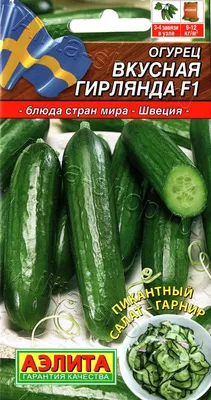 Семена Огурец Вкусная гирлянда F1: описание сорта, фото - купить с  доставкой или почтой России
