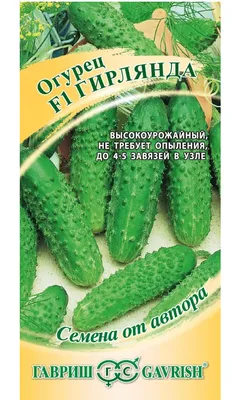 Семена Огурец \"Гирлянда\" F1, раннеспелый, партенокарпический, 10 шт. (2 шт)  - РусЭкспресс