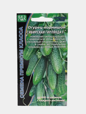 Огурцы Проверенные семена Сибирская гирлянда - купить по выгодным ценам в  интернет-магазине OZON (771060861)