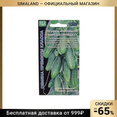 Семена Огурец-корнишон \"Сибирская гирлянда F1\" купить по цене 170 ₽ в  интернет-магазине KazanExpress