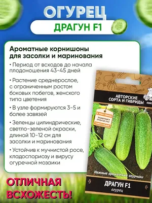 Маринованные огурцы Д (Дикси) Корнишоны - рейтинг 5 по отзывам экспертов ☑  Экспертиза состава и производителя | Роскачество
