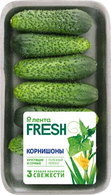 Самые популярные сорта огурцов | ВКонтакте