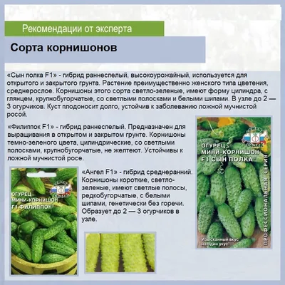 ОГУРЦЫ – ПИКУЛИ, КОРНИШОНЫ | ВКонтакте