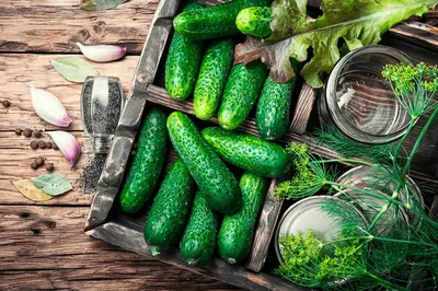 Купить огурцы Принцесса Вкуса маринованные корнишоны 720 г, цены на  Мегамаркет | Артикул: 100028794957