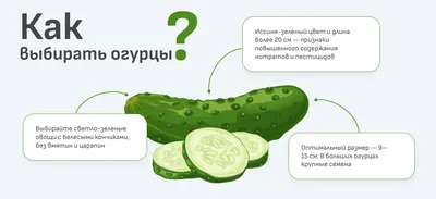 Огурцы корнишоны по-французски ''Дядя Ваня'' 460 гр. ст/б (8шт) - купить в  интернет магизине VKUSTORG по выгодной цене. Покупай лучшее!
