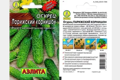Виды, формы и сорта огурцов – какой подходит для каких целей | На грядке  (Огород.ru)