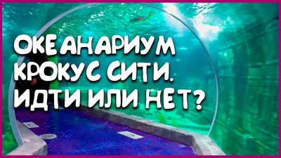 Сравнение крупнейших московских океанариумов: Москвариум на ВДНХ,  океанариумы в ТРЦ «РИО» и «Крокус Сити» | Планета Нептуна - строительство,  проектирование океанариумов