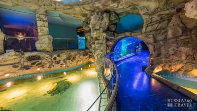 Crocuscity oceanarium in Moscow (overview) - YouTube