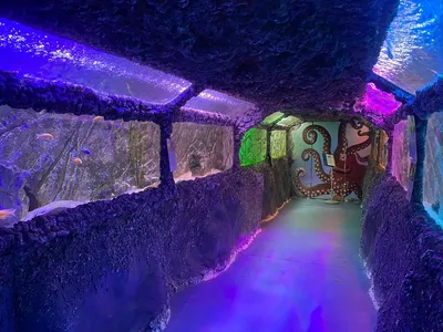 Геленджикский океанариум - Уют коттедж