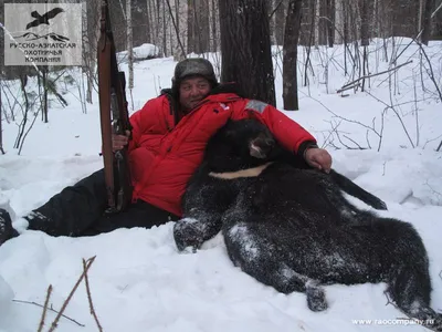 Чудотворное свидетельство охоты на гималайского медведя