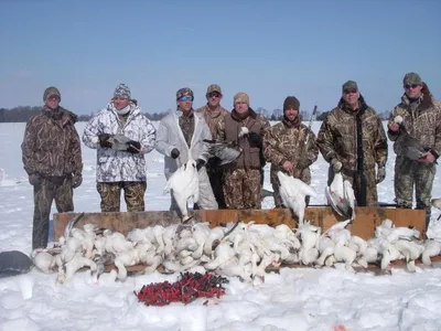 Охота на северного гуся - Toursib.com – организация охоты и рыбалки в Сибири