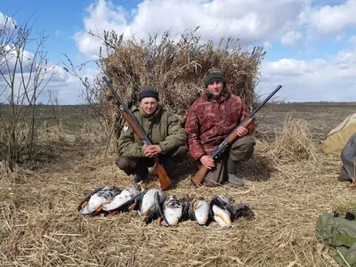 Охота на гуся в Беларуси 3 дня/2 ночи 66 000 RUB | Охота на гуся в Беларуси
