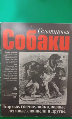 Западно сибирская лайка (West Siberian Laika) (Породы собак) лайка собака,  лайка фото, щенки сибирской лайки, купить лайку, породы лаек, щенки лайки,  продажа лаек, купить сибирскую лайку Энциклопедия о животных EGIDA.BY
