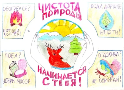 Охрана природы — наш долг! 1-4 классы — Страница 2 — МБУ ДО ЭЦ ЭкоСфера г.  Липецка