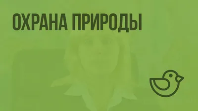 Информация и мероприятия по охране окружающей среды и экологической  безопасности