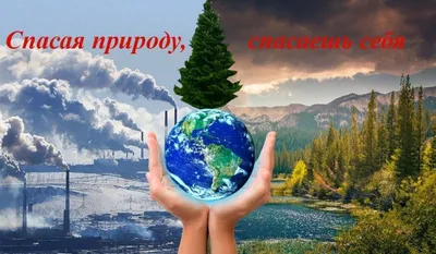 Экология и охрана природы «БЕРЕГИ ПЛАНЕТУ!»🌏 🤔Задумывались ли вы о том,  как много мусора производится вашей.. | ВКонтакте