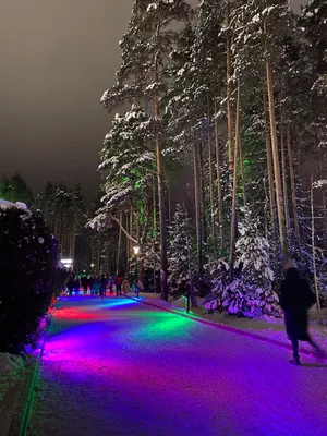 Охта парк зимой» — создано в Шедевруме