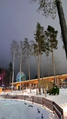 Курорт «Охта Парк» - Метровые сугробы и заснеженный лес в середине декабря  – это ли не чудо в наших краях? Но как предсказывает прогноз всё ещё может  измениться. И если новогоднее настроение