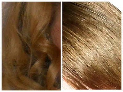 Как получить модные оттенки волос с помощью отвара трав | Златовласка | Дзен