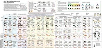 Таблица окрасов мейн-кунов: фото и описание