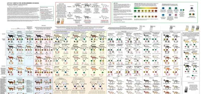 Окрасы мейн кунов таблица