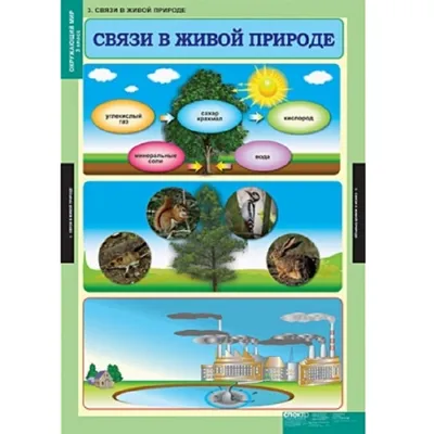 Окружающий мир. 4 класс. Часть 1, С. Н. Ловягин – скачать pdf на ЛитРес