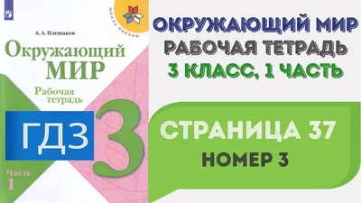 Плакат 23*42см \"Окружающий мир в начальной школе. Цепи питания\" - Элимканц