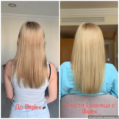 Olaplex No.6 Несмываемый крем в hair Club Shop