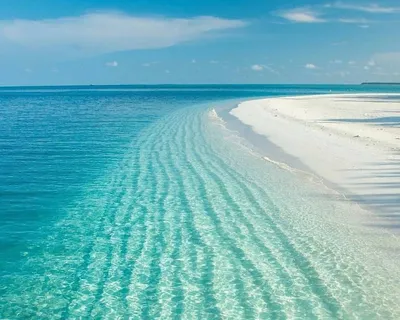 Крымские Мальдивы: плюсы пляжей Оленевки или какой смысл платить больше за  границей