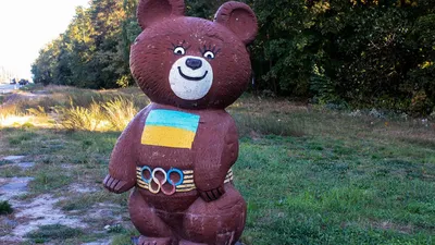 Впечатляющие фотографии Олимпийского медведя