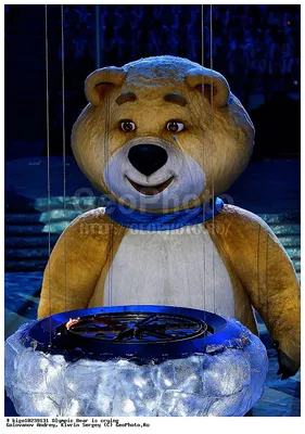 Фото медведя в стиле олимпийской символики