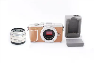 Фотоаппарат со сменной оптикой Olympus Pen E-PL9 Kit 14-42 f3.5-5.6 EZ  Brown — купить по низкой цене на Яндекс Маркете