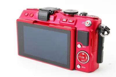 Olympus PEN E-PL9 пример фотографии 312345929