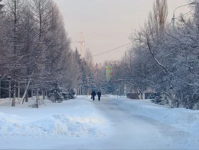 Врач рассказал, как защищаться от коронавируса зимой #Омск #Общество  #Сегодня