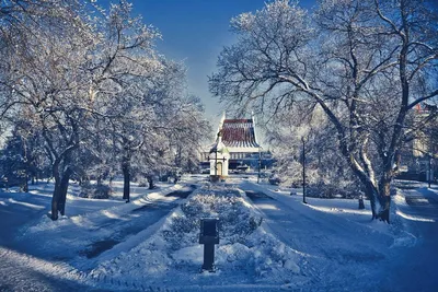 Lora on X: \"Омск зимний. Улица Ленина. Фото Андрей Кудрявцев.  https://t.co/EuhB9dqqpf\" / X