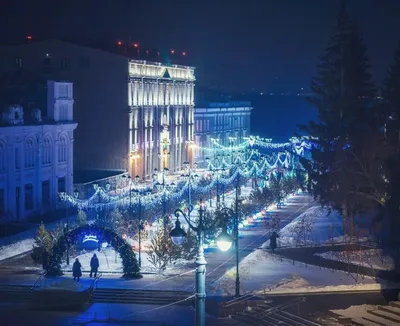 Этой зимой в Омской области наблюдается самая масштабная миграция диких  животных в истории региона - YouTube