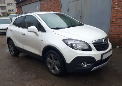 Тюнинг на модели Opel (Опель) купить с доставкой по РФ | Тюнинг-Пласт