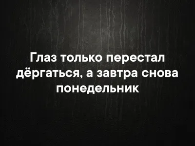 Опять понедельник...😿😿 Не забывайте, пожалуйста что сегодня выходной,  котопëсики отдыхают. Ждём гостей со ВТ - ВС с 12-22 ч. | Instagram