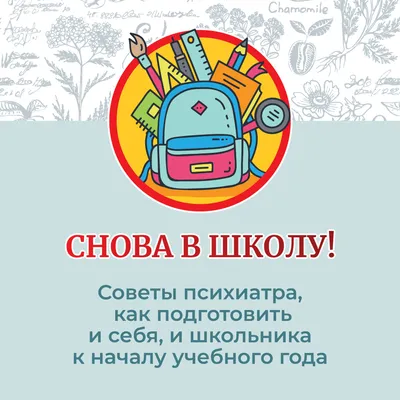 Снова в школу!