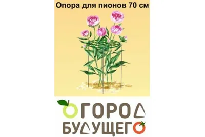 Купить Опора для вьющихся растений Бутон металлическая 58-959B недорого по  цене 1 890руб.|Garden-zoo.ru