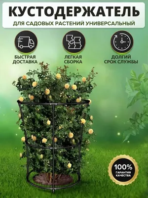 Каталог Опора для садовых растений 57925 от магазина SADZONE в Москве по  доступным ценам
