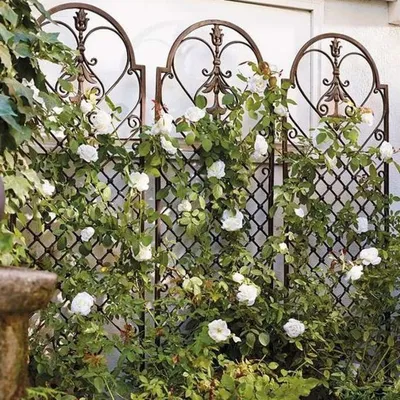 Опора для плетистой розы своими руками: материалы и конструкции | Садовый  трельяж, Идеи для садового дизайна, Гидропонное садоводство