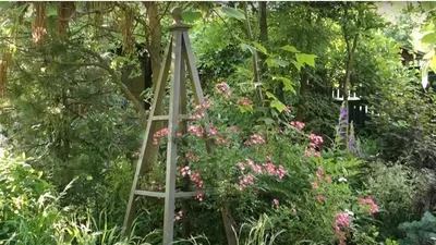 Обелиск для роз своими руками / Опора для плетистых растений - YouTube