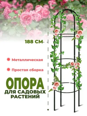 Опора для растений и роз садовая Первый домашний 28086636 купить за 1 334 ₽  в интернет-магазине Wildberries