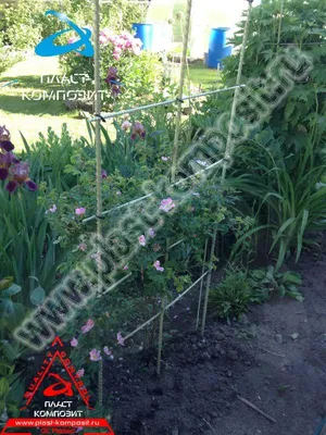 Фотографии опор для роз и вьющихся растений от компании Пласт-Композит